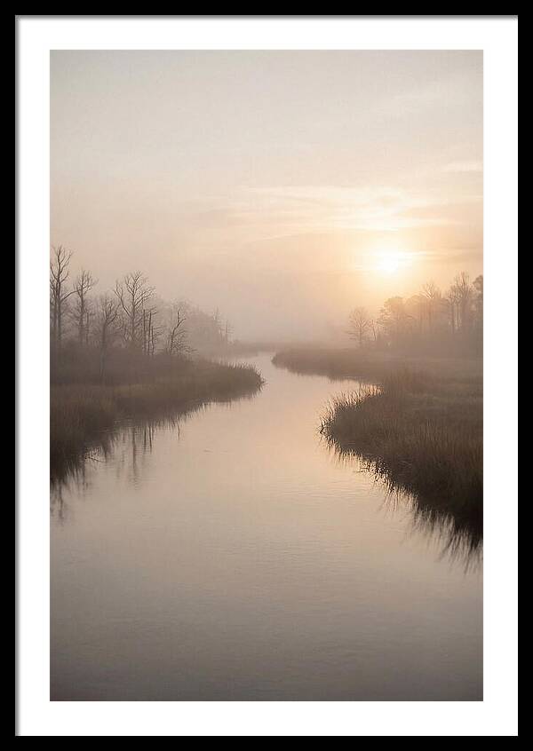 Sunrise Through Morning Mist