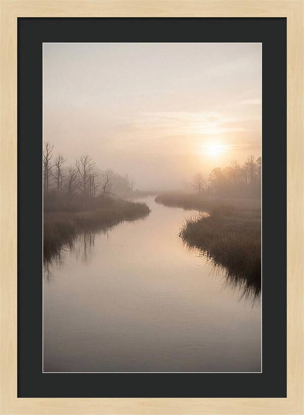 Sunrise Through Morning Mist