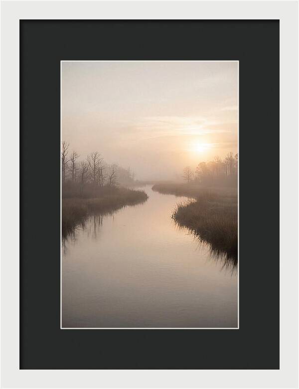 Sunrise Through Morning Mist