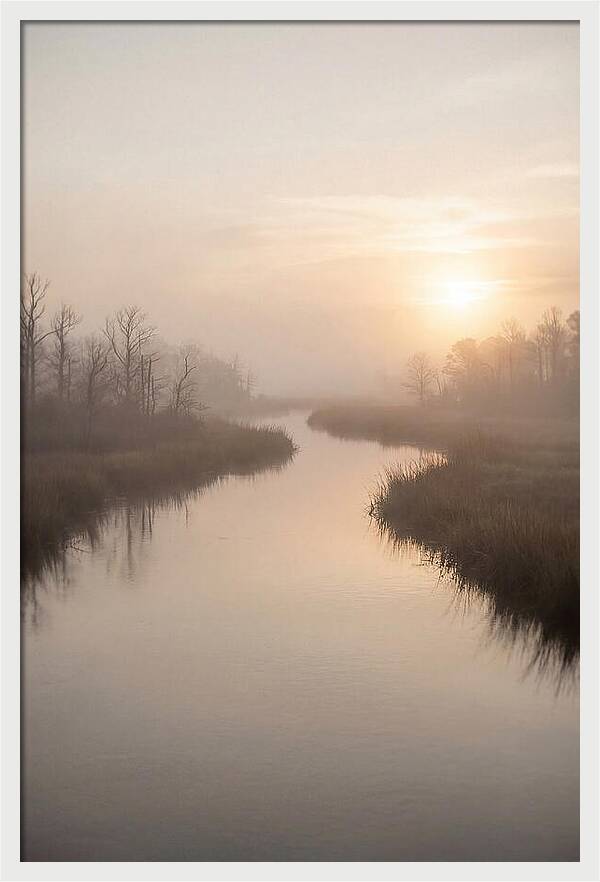 Sunrise Through Morning Mist