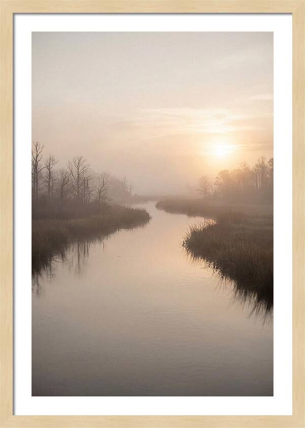 Sunrise Through Morning Mist