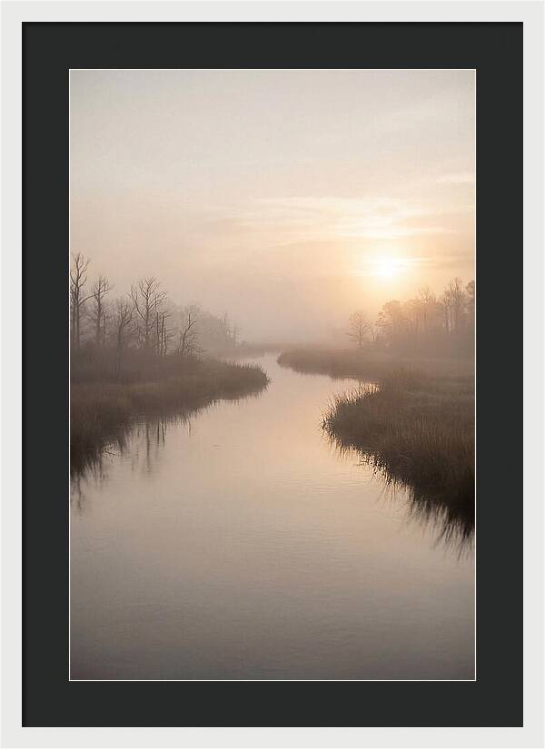 Sunrise Through Morning Mist