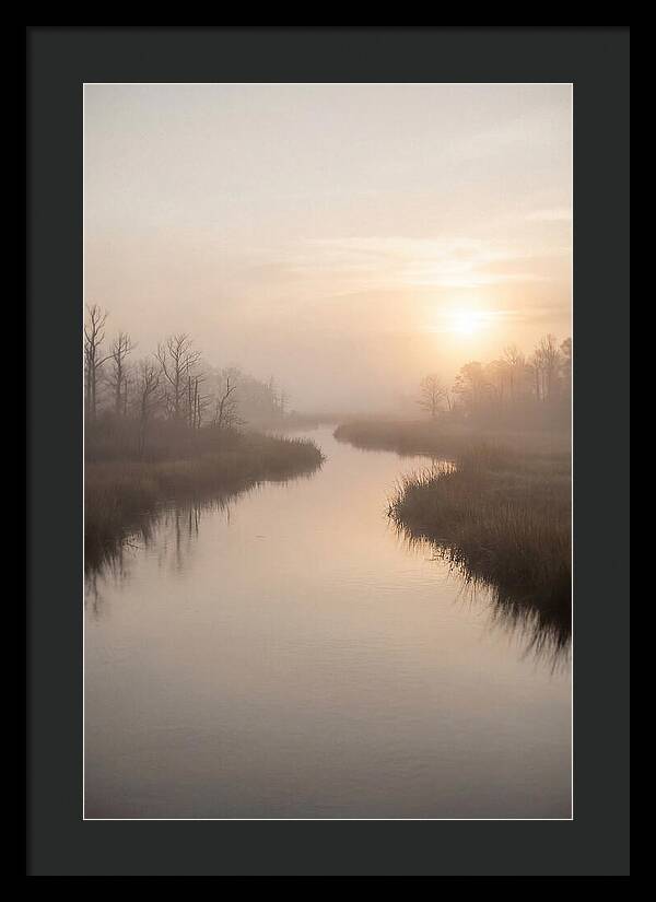 Sunrise Through Morning Mist