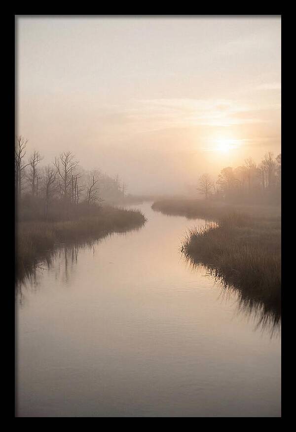 Sunrise Through Morning Mist