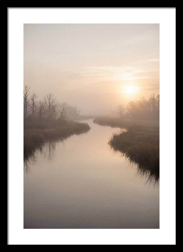 Sunrise Through Morning Mist