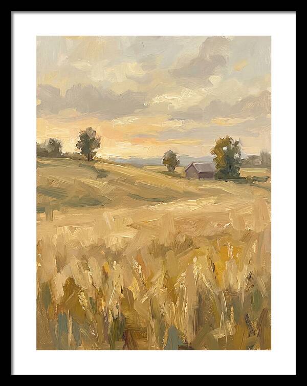 Sunset Over Golden Fields