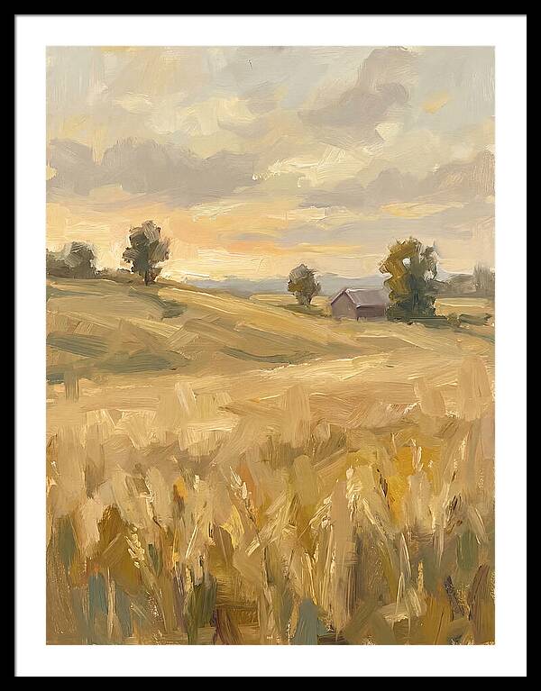 Sunset Over Golden Fields
