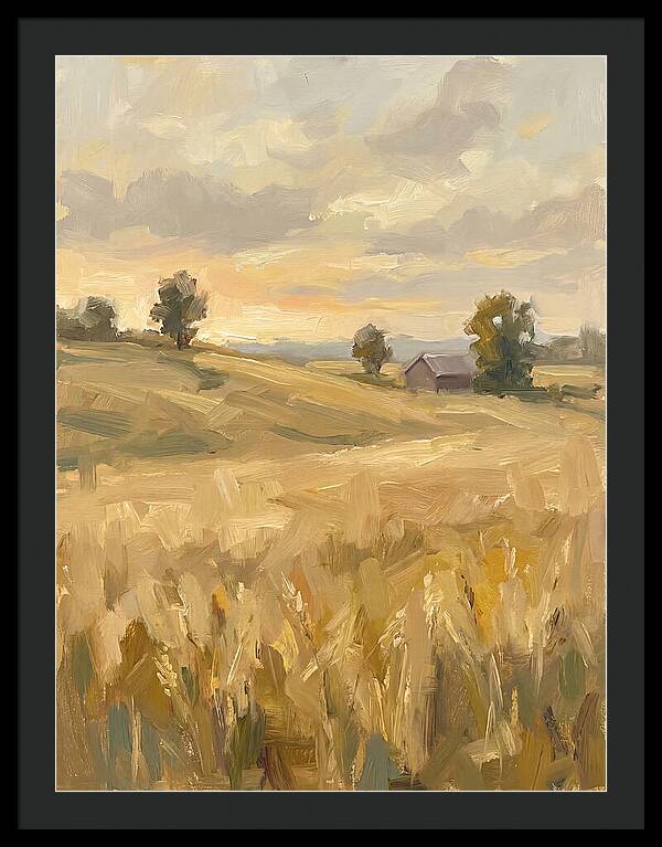 Sunset Over Golden Fields