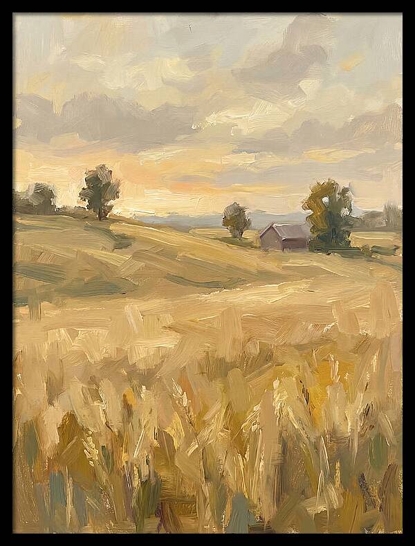 Sunset Over Golden Fields