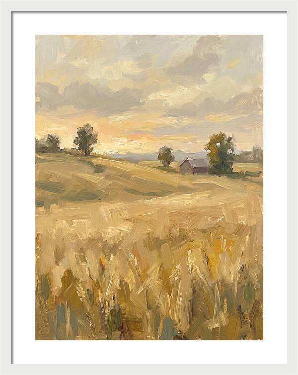 Sunset Over Golden Fields