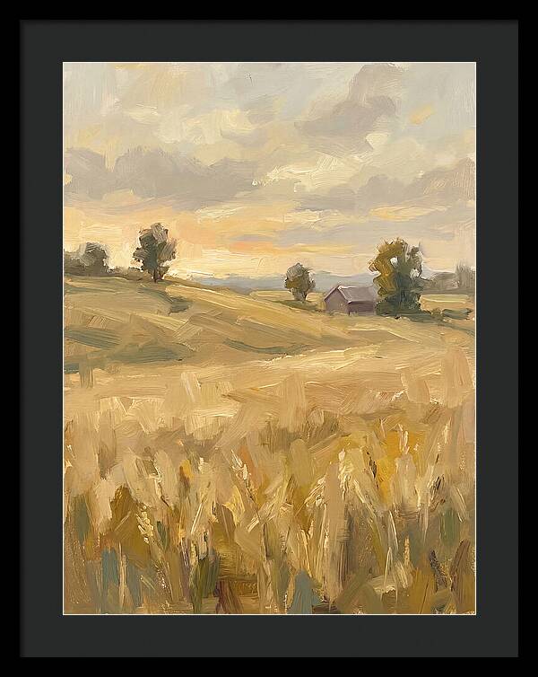 Sunset Over Golden Fields