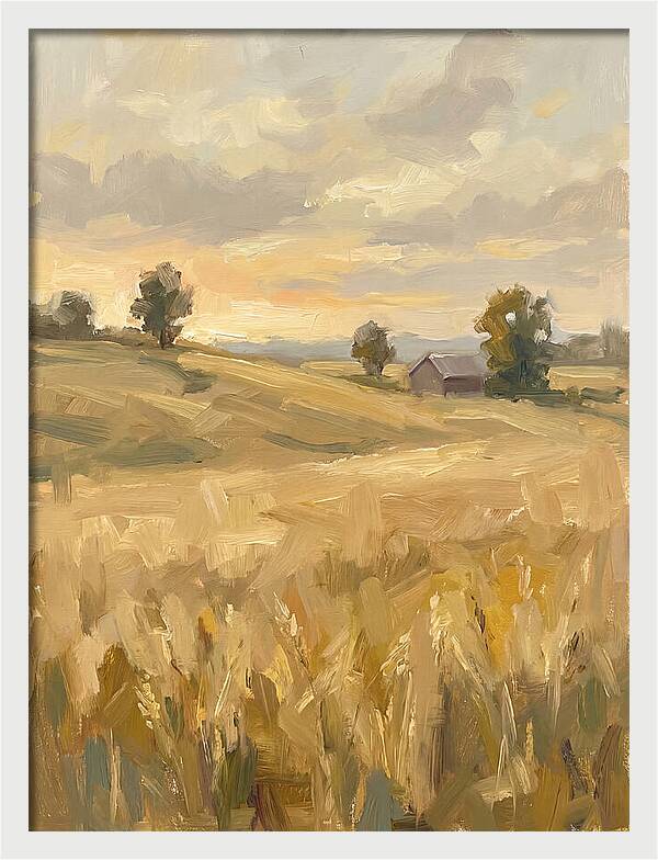 Sunset Over Golden Fields