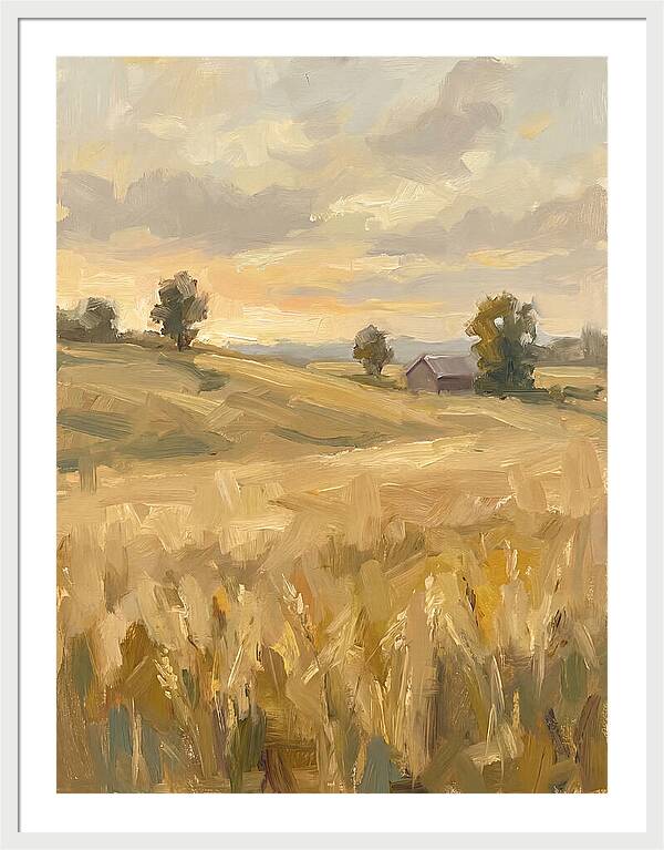 Sunset Over Golden Fields