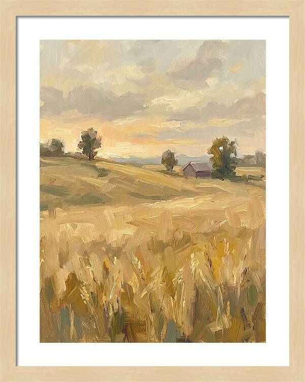 Sunset Over Golden Fields