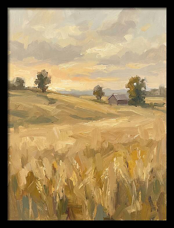 Sunset Over Golden Fields
