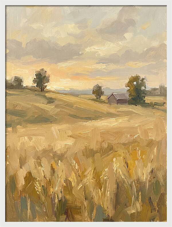 Sunset Over Golden Fields