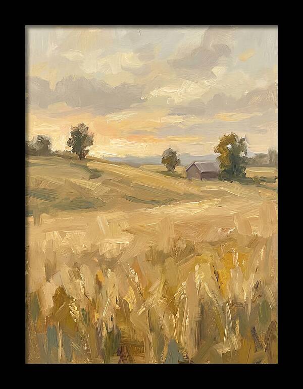 Sunset Over Golden Fields