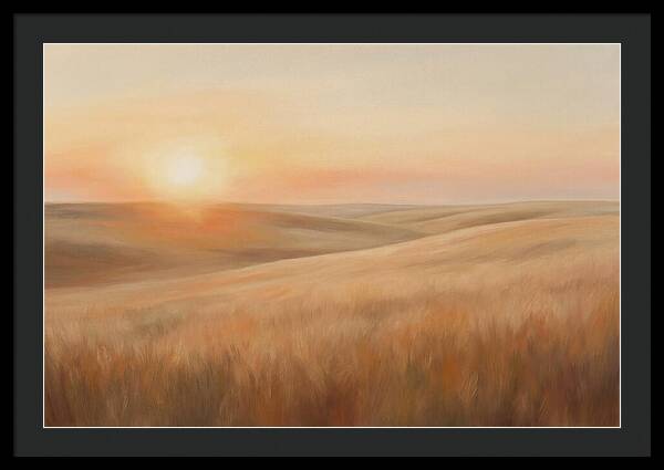 Sunset Over Vast Wheat Field