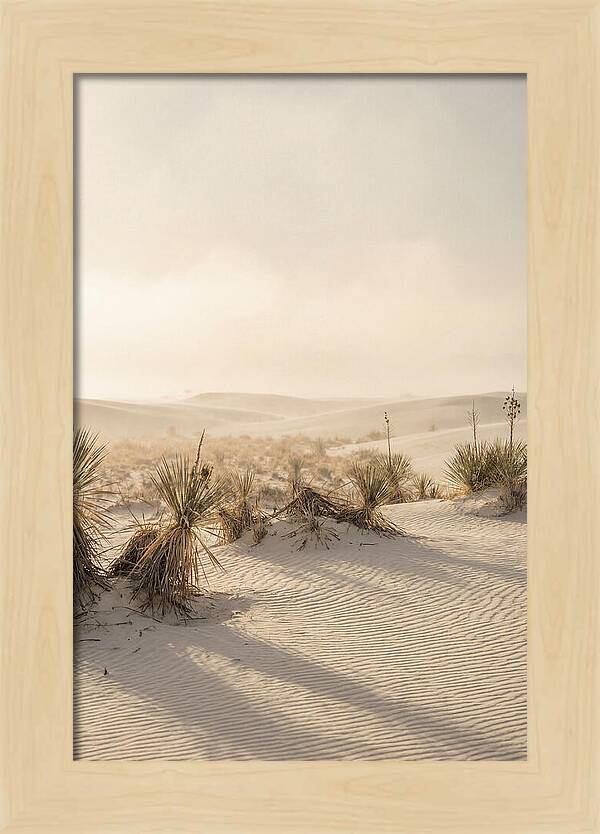 Sunset Serenity At White Sands