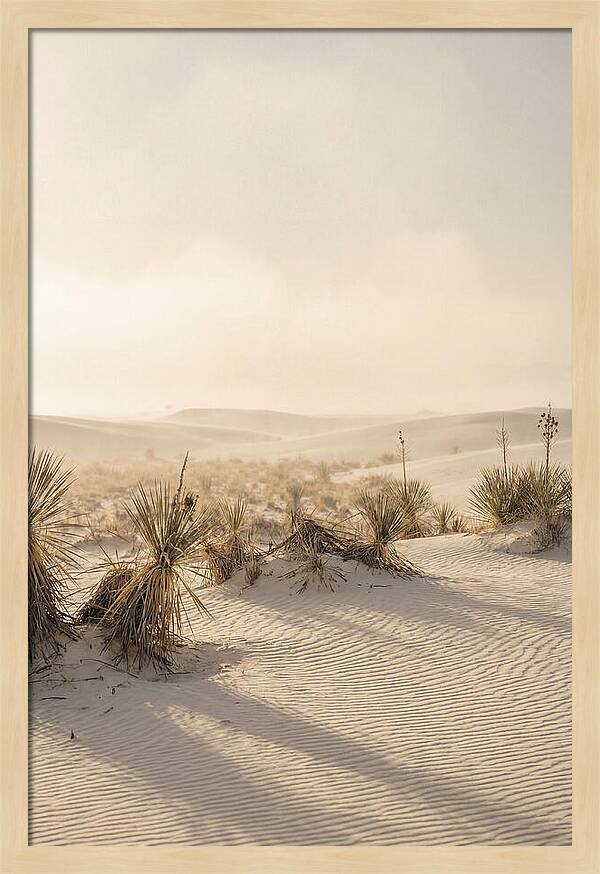 Sunset Serenity At White Sands