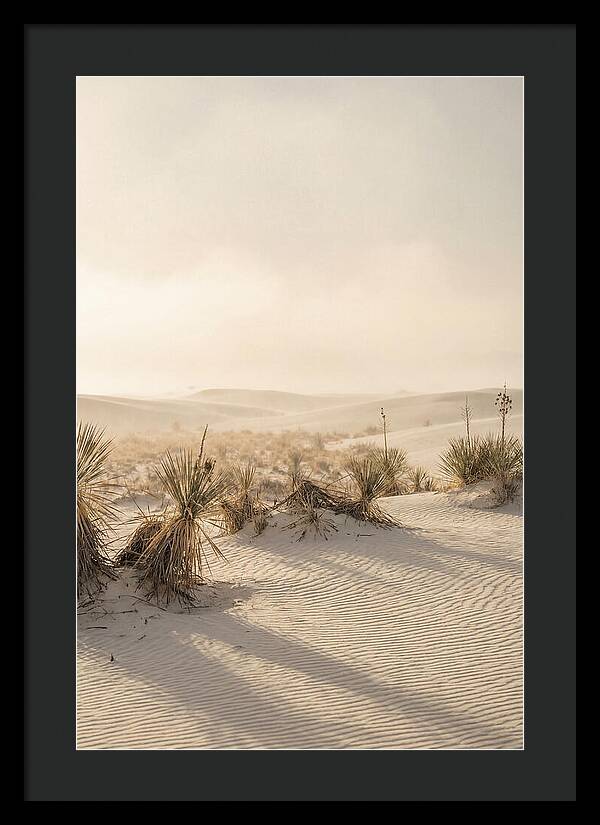 Sunset Serenity At White Sands