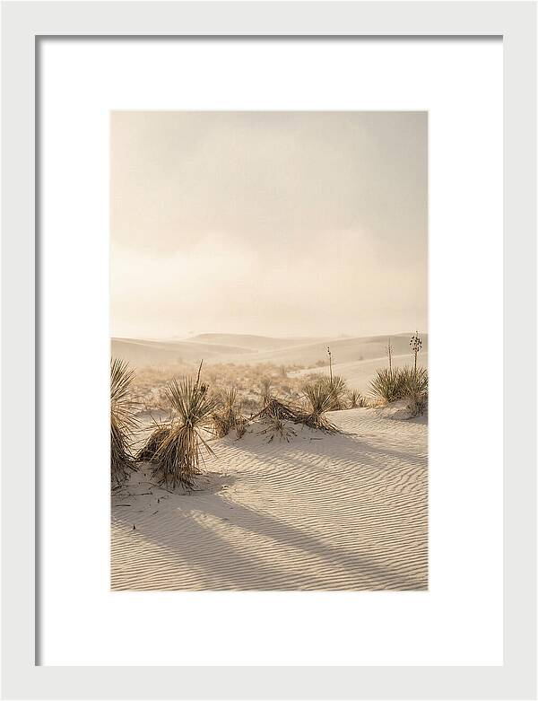 Sunset Serenity At White Sands