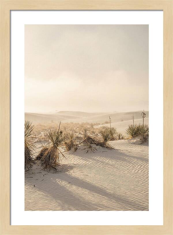 Sunset Serenity At White Sands