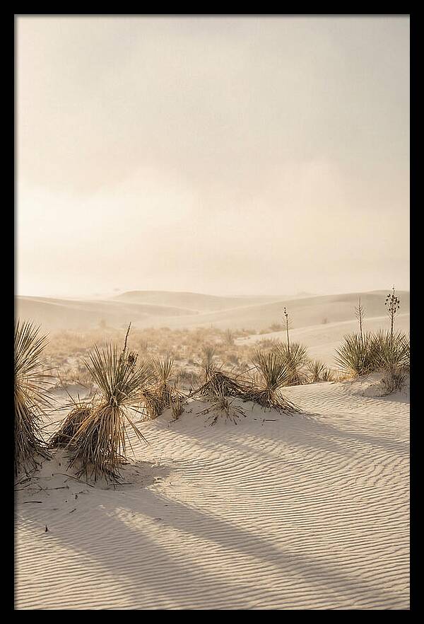 Sunset Serenity At White Sands
