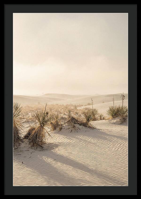 Sunset Serenity At White Sands