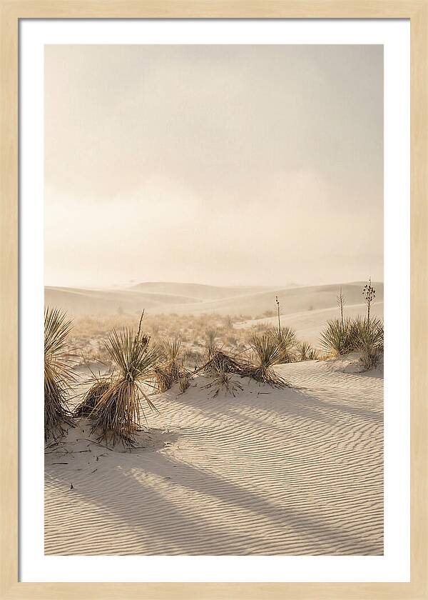 Sunset Serenity At White Sands
