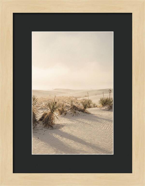 Sunset Serenity At White Sands