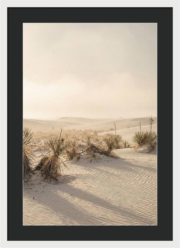 Sunset Serenity At White Sands