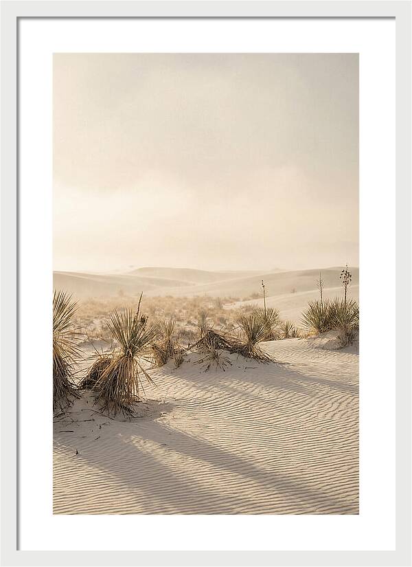 Sunset Serenity At White Sands
