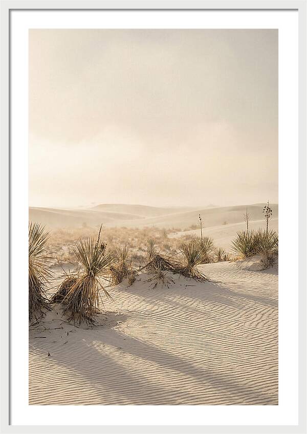 Sunset Serenity At White Sands