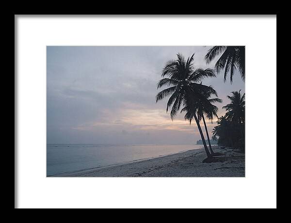 Sunset Silhouetting Palm Trees