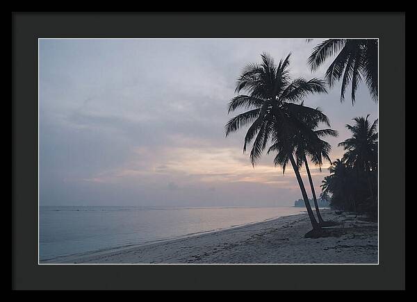 Sunset Silhouetting Palm Trees