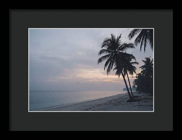 Sunset Silhouetting Palm Trees