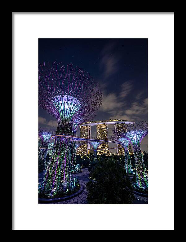 Supertree Grove Illuminations