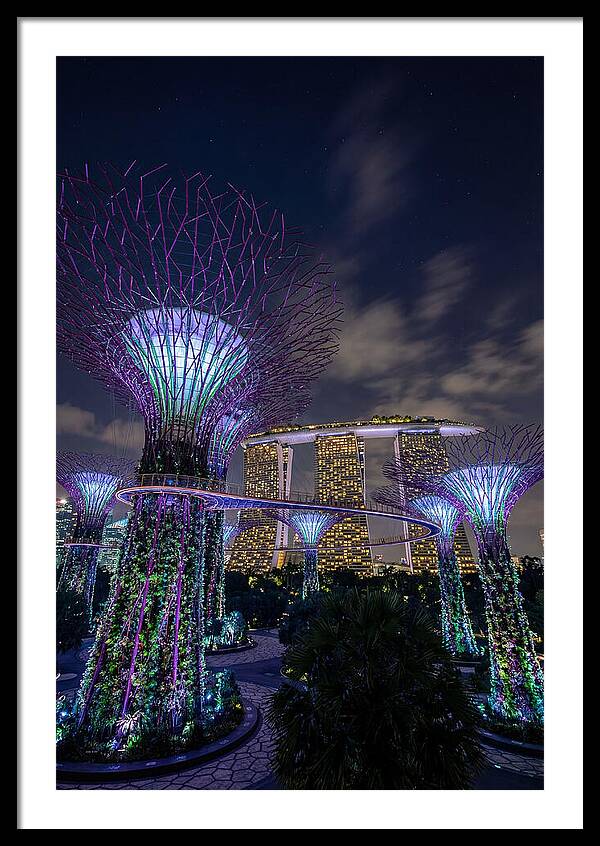 Supertree Grove Illuminations