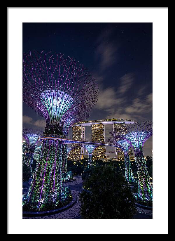 Supertree Grove Illuminations