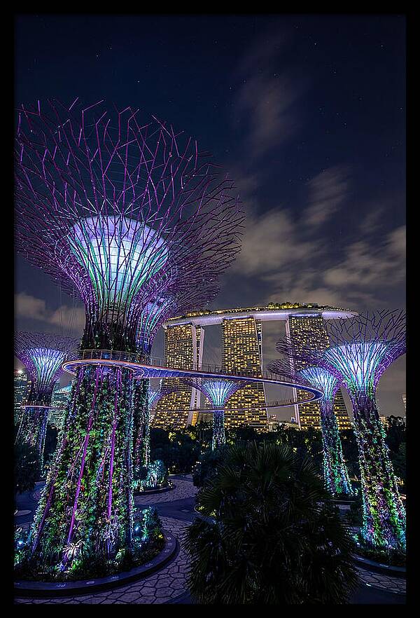 Supertree Grove Illuminations