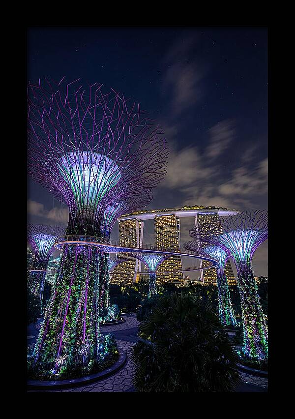 Supertree Grove Illuminations