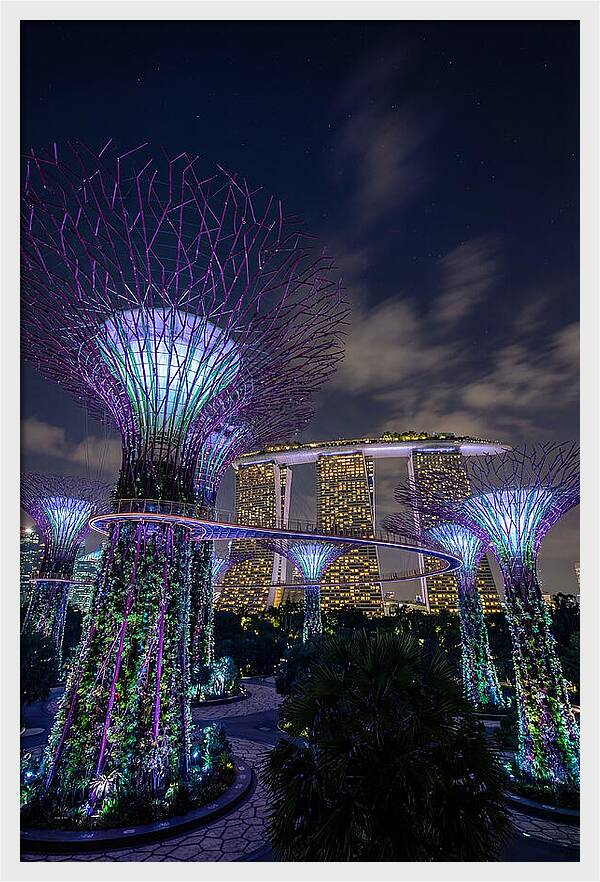 Supertree Grove Illuminations