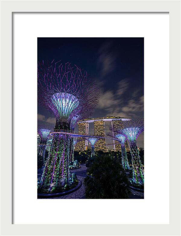 Supertree Grove Illuminations