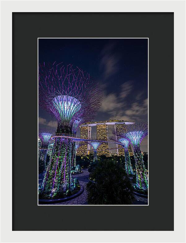 Supertree Grove Illuminations