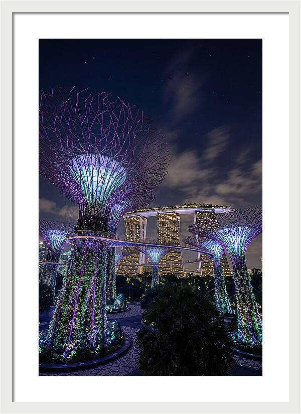 Supertree Grove Illuminations