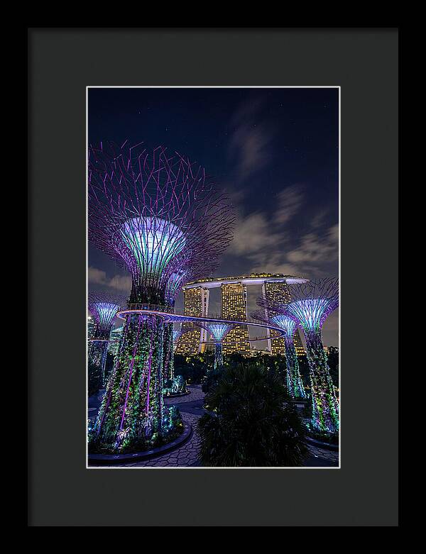 Supertree Grove Illuminations