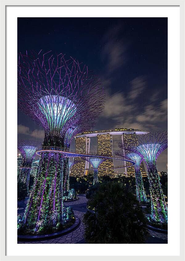 Supertree Grove Illuminations