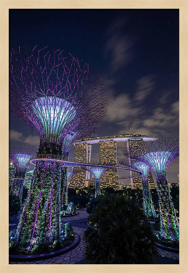 Supertree Grove Illuminations