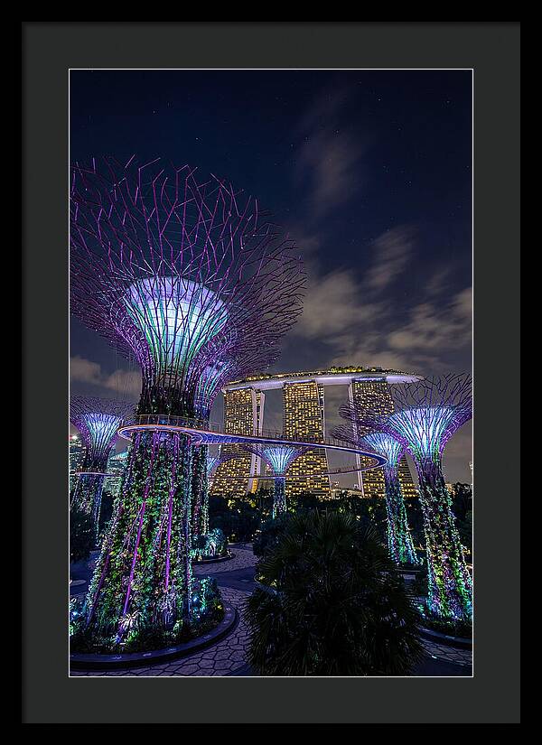 Supertree Grove Illuminations